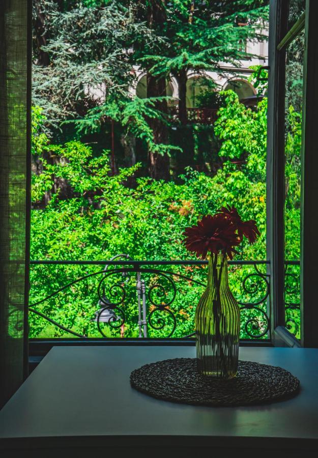 Avocadohouse2vistaterme Apartment San Pellegrino Terme